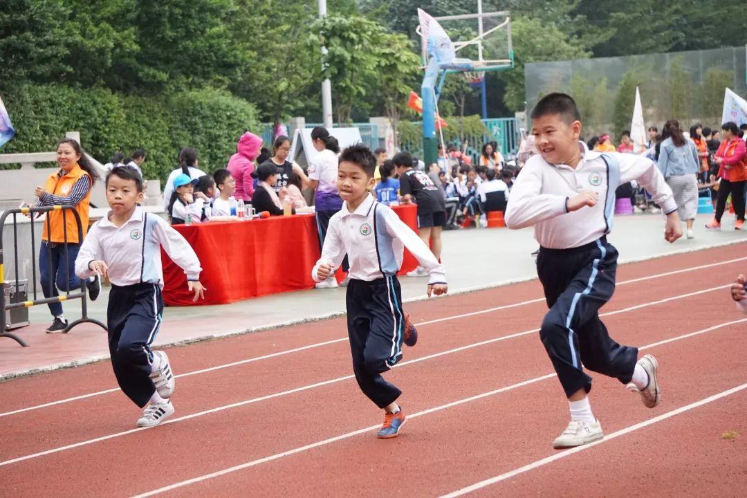 体育学校，培育健康体魄与卓越精神的成长摇篮