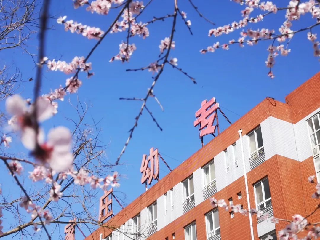 石家庄幼儿师范高等专科学校，培育未来教育者的摇篮之地