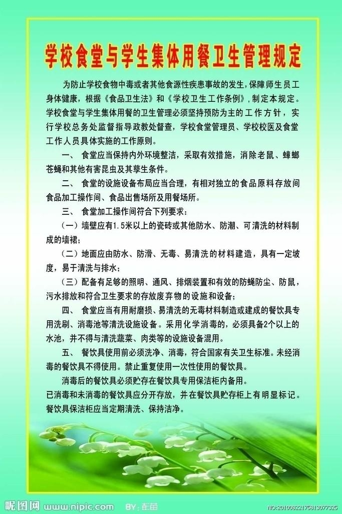 学校卫生工作条例，构建健康校园的核心准则与行动指南