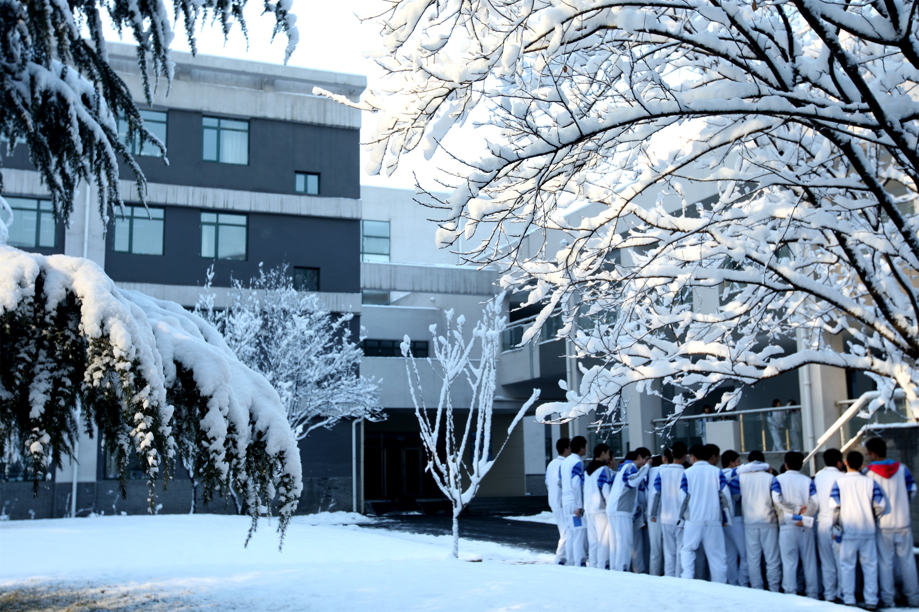 北京市八一学校的独特魅力与先进教育理念概述