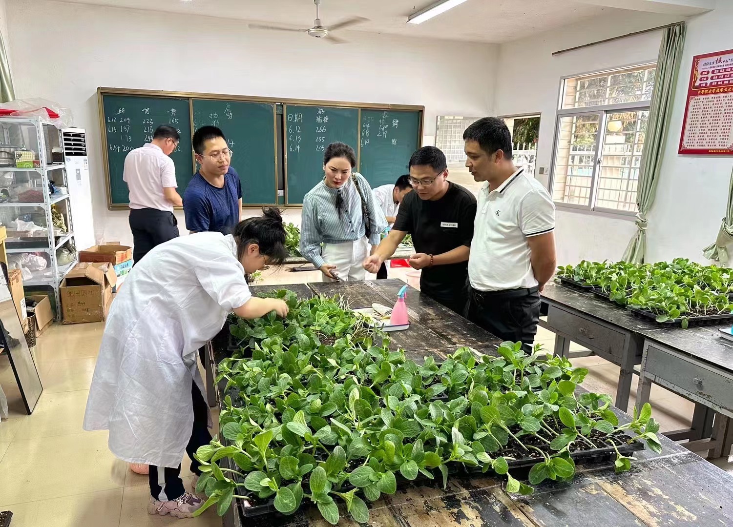 农业学校，培育绿色未来的摇篮之梦