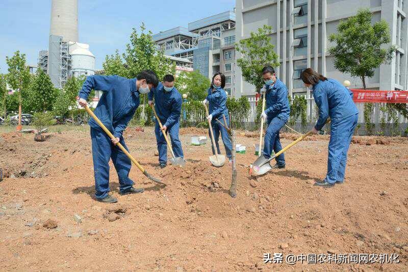 东京樱花洒向巴黎的街╰