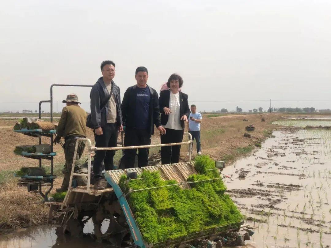 校园文化的碰撞与多元化教育的优势探讨