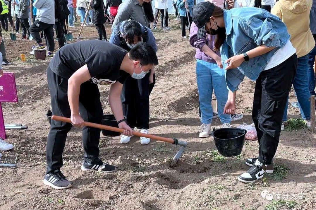 学校宿舍辣椒种植奇迹