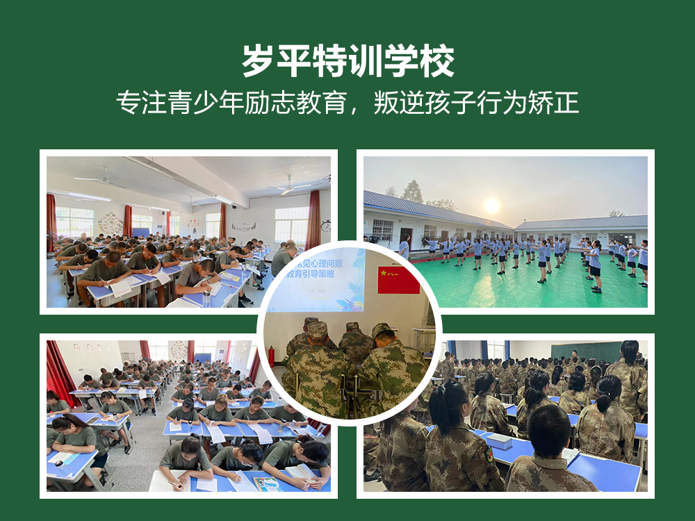 叛逆教育学校的探索与反思，教育理念与实践的审视