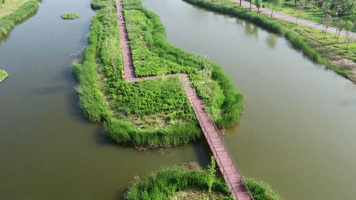 教师如何引导学生设定可实现的学习目标