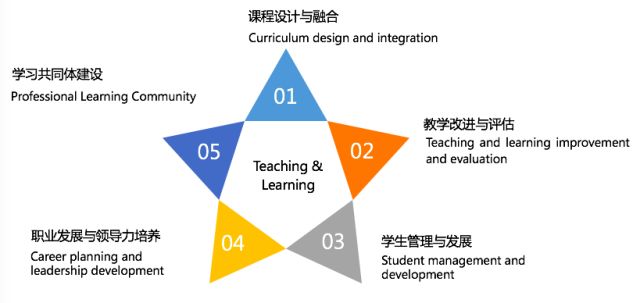 如何提升教师的领导力与管理能力