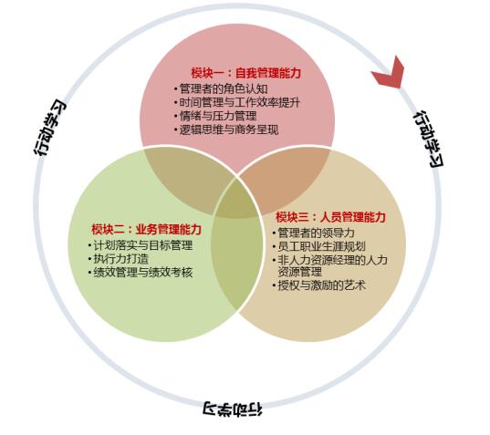 如何平衡知识传授与激发学生思维发展，策略与实践