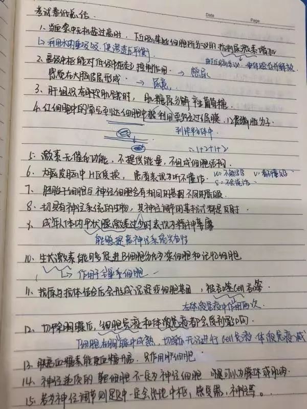 教学中如何助力学生理解复杂概念的方法与策略