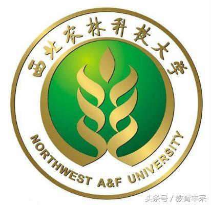 西北工业大学校徽，荣耀与传承的徽标展现