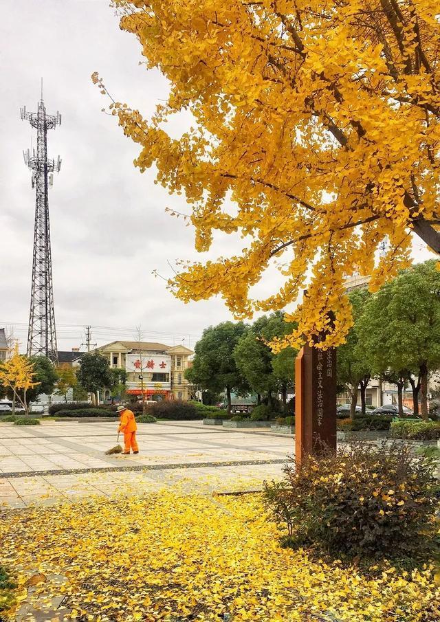 慈溪阳光实验学校，未来人才的摇篮培育地