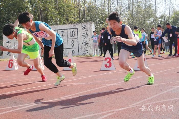 肥西师范学校官网，历史沿革、现状概览与未来展望