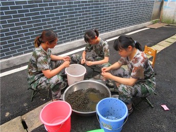 重庆戒网瘾学校，重塑青少年网络健康之路之旅