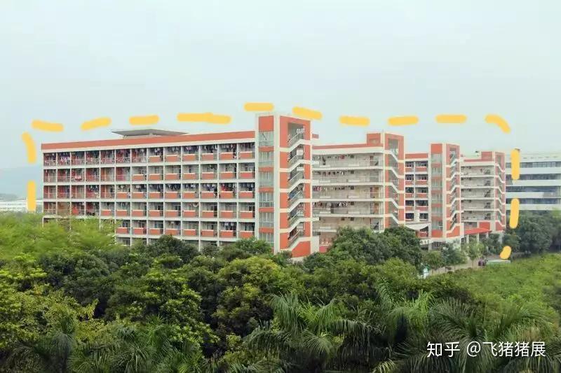 广东学校，多元化教育的繁荣之地