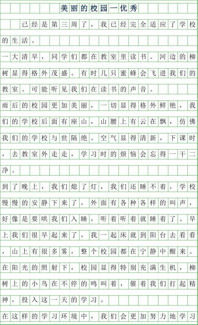 我的学校生活纪实，校园风采与成长印记