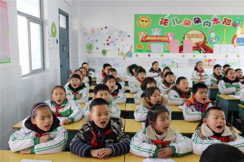 学校一日，知识与成长的探索之旅