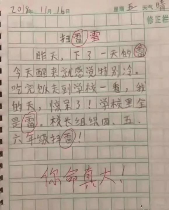 我的学校，活力四溢的知识殿堂