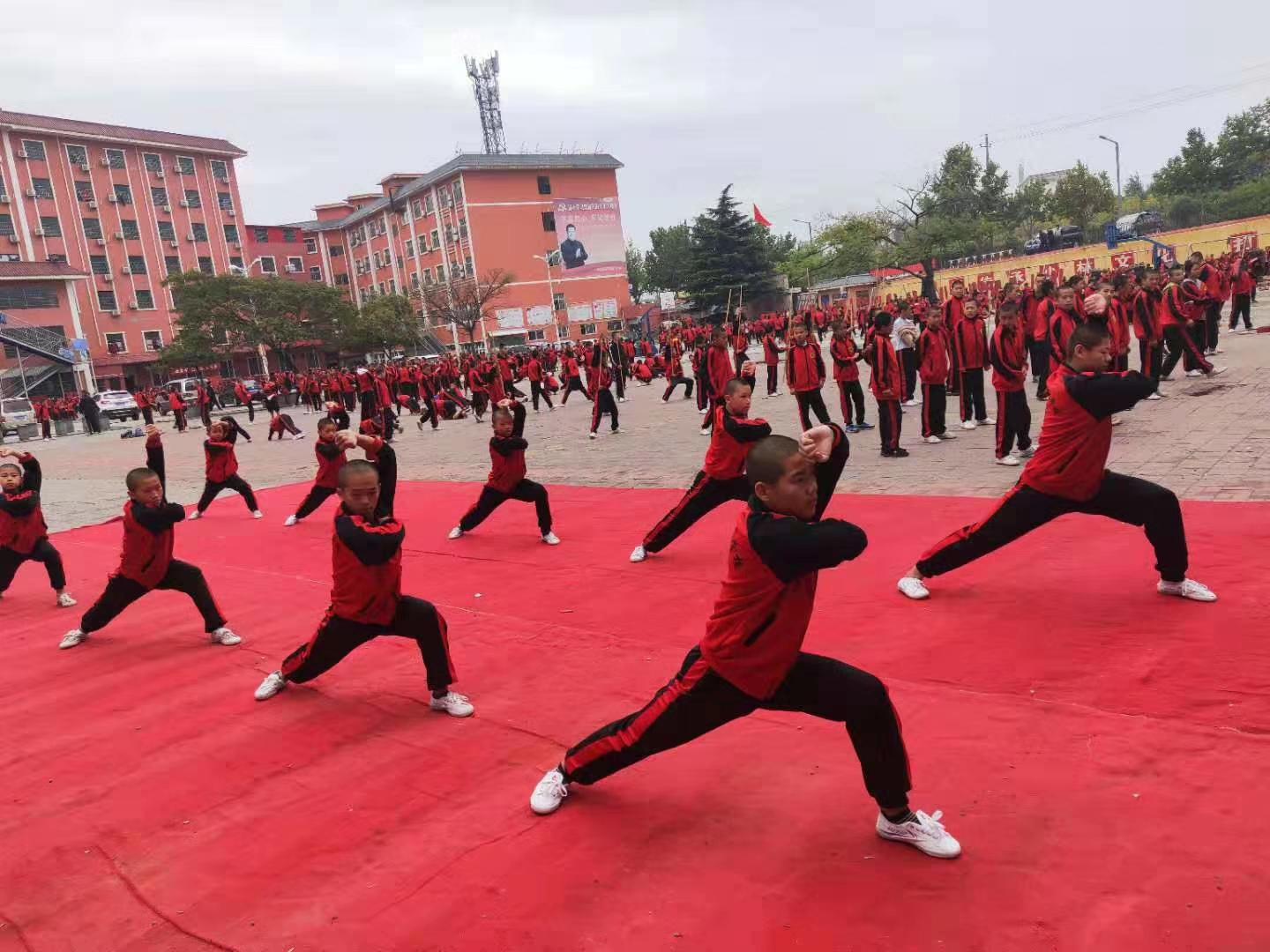 文武学校学费详解，深度解析与理解