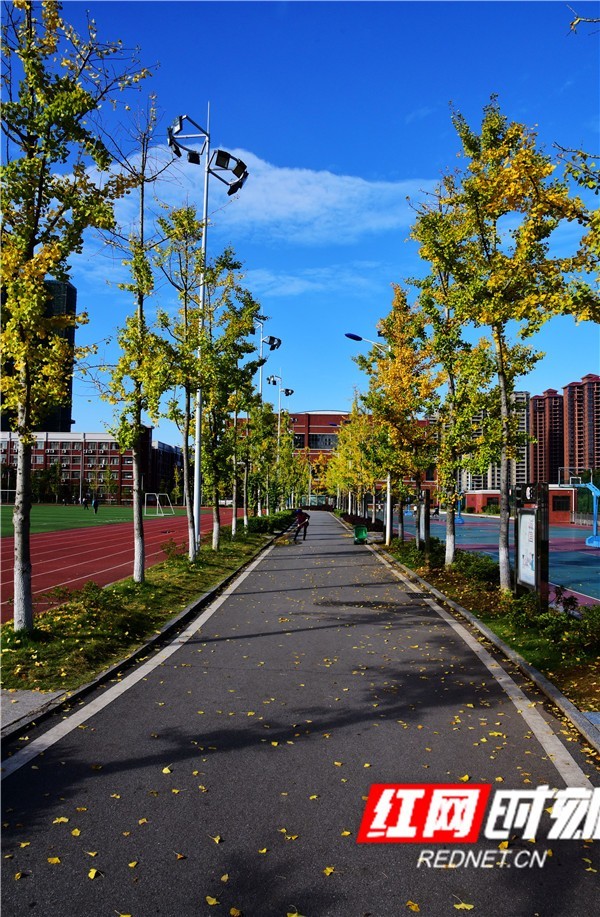 邵阳湘郡铭志学校，未来人才的摇篮培育地