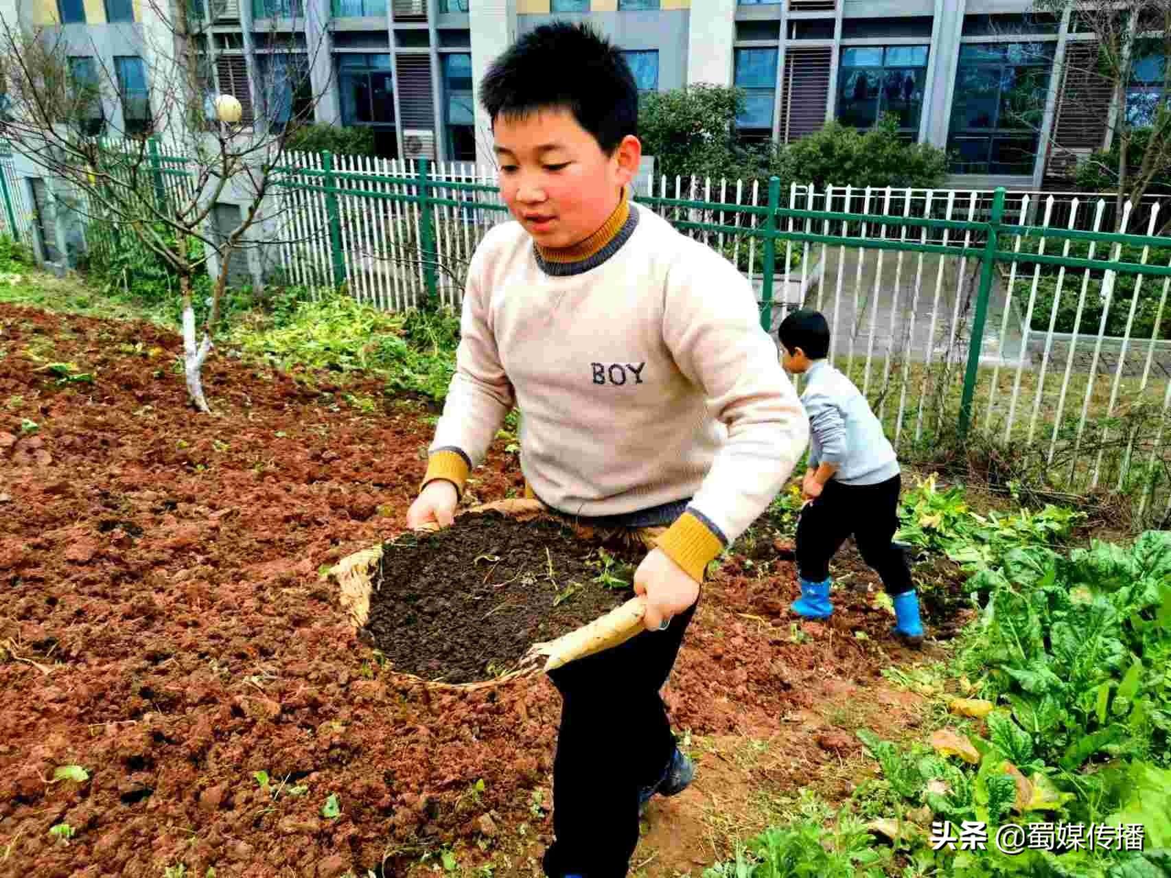 泸州市梓橦路学校，教育之光，培育未来希望之地