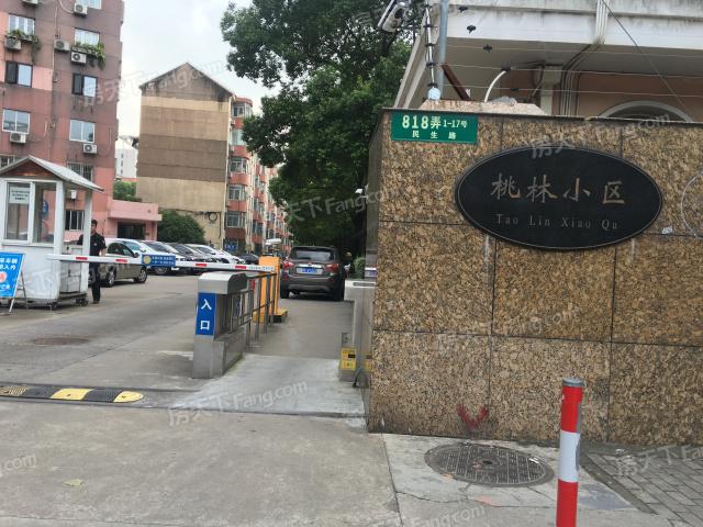 走进中国顶尖学府，揭秘神秘的983学校之旅