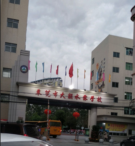 东莞市大朗水霖学校，教育之光下的璀璨明珠闪耀成长之路