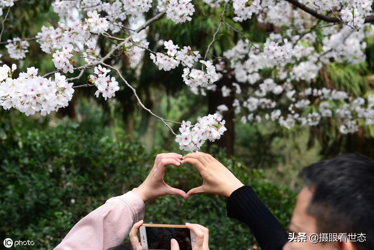 东北林业大学校训，培育绿色精英的砺炼基石