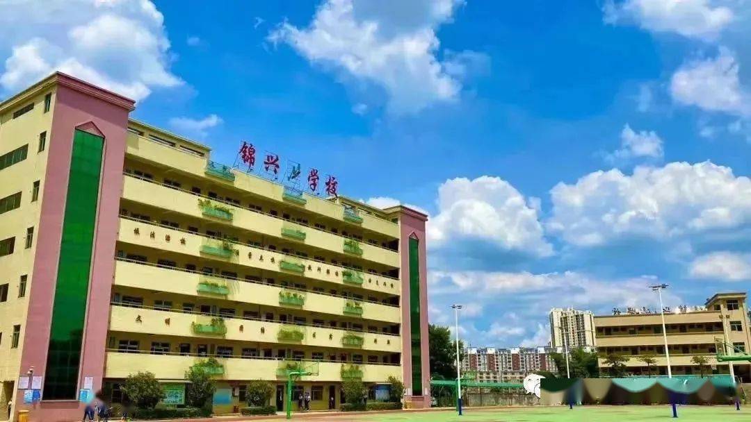 凤岗锦兴学校怎么样