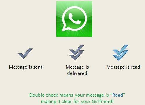 WhatsApp文件传输与媒体快速发送效率提升全攻略